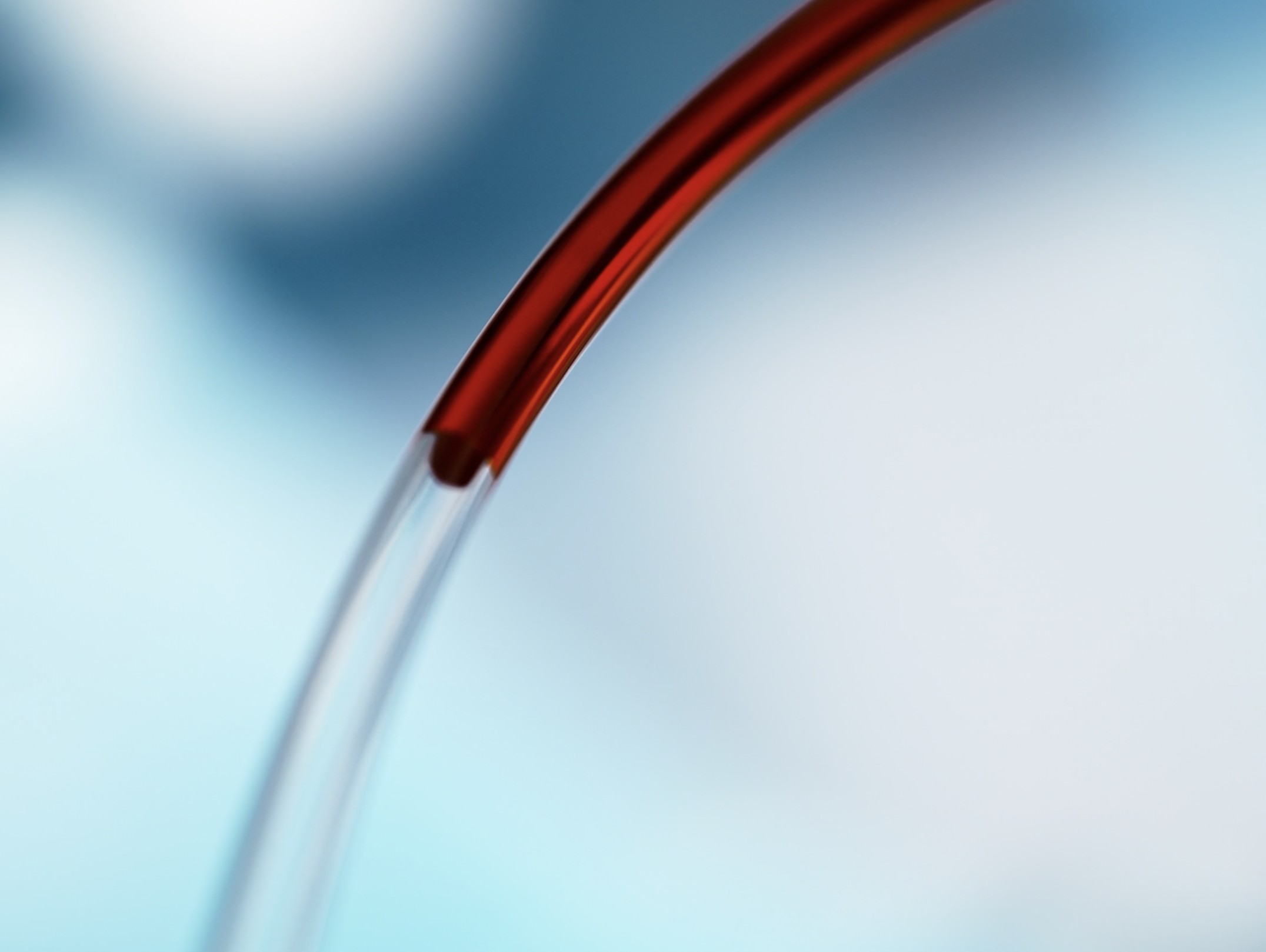 Blood passing through the EBOO filter circuit