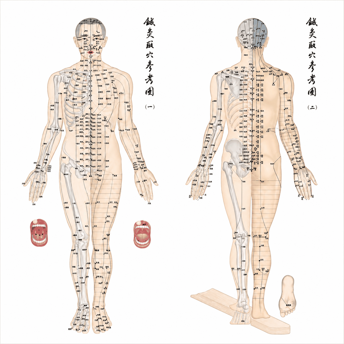 Classical acupuncture point and channel chart